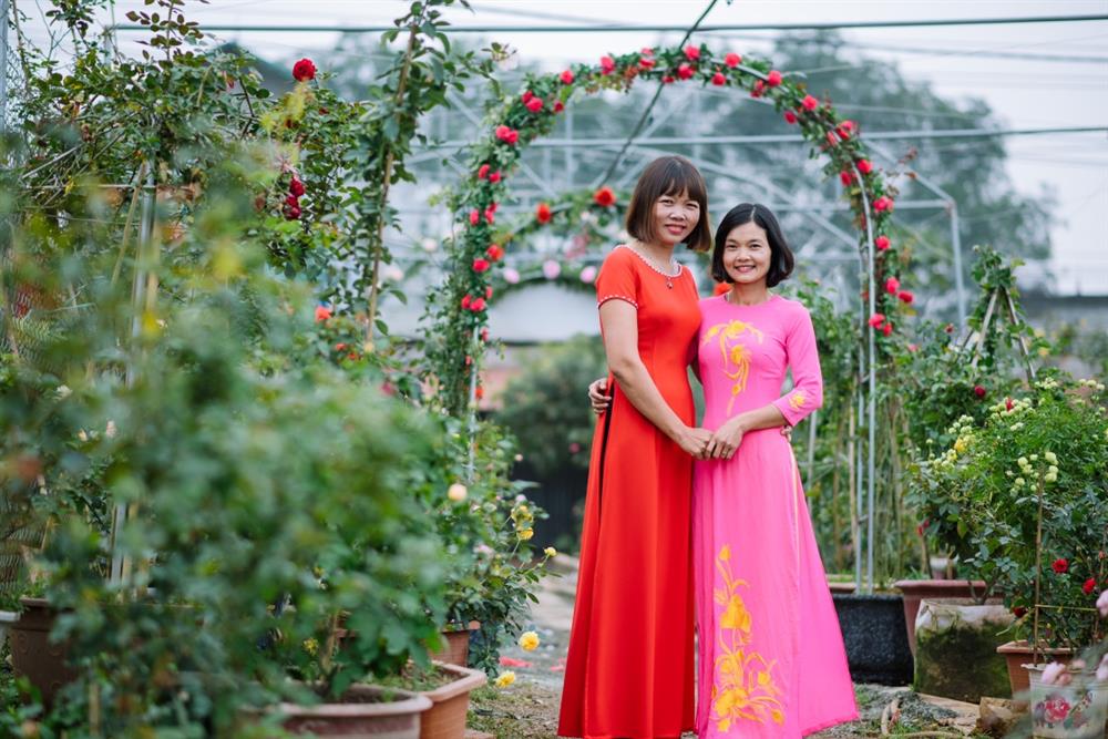 Vườn hoa Hồng Thanh - thắp lên tình yêu hoa hồng mãnh liệt
